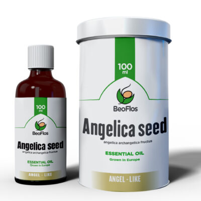 100ml-angelica-seed-anjdjelika-seme